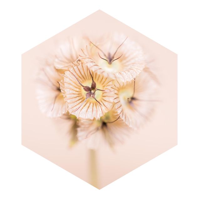 Hexagon Mustertapete selbstklebend - Pastellfarbener Blütenstrauß II