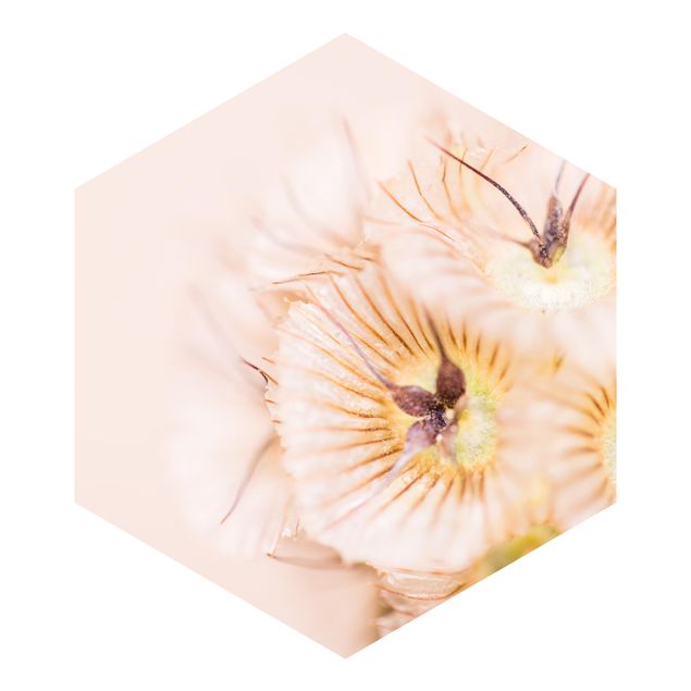 Hexagon Mustertapete selbstklebend - Pastellfarbener Blütenstrauß