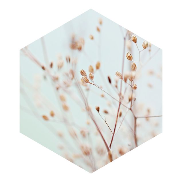 Schöne Fototapete Pastellknospen am Wildblumenzweig