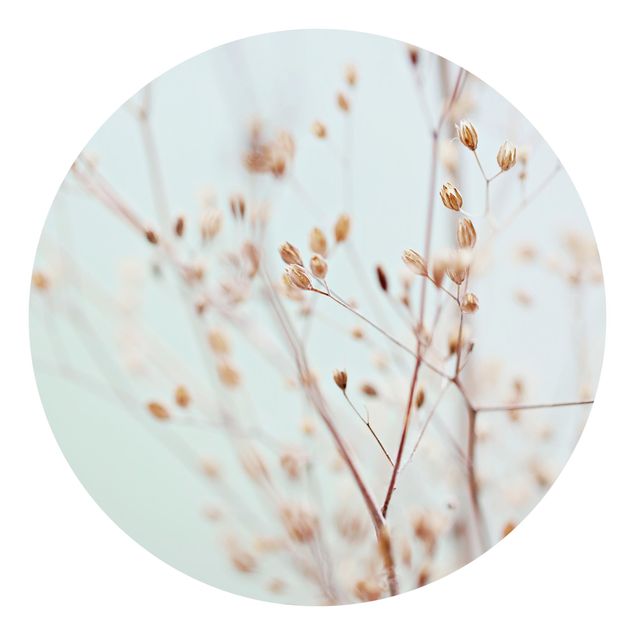 Runde Tapete selbstklebend - Pastellknospen am Wildblumenzweig