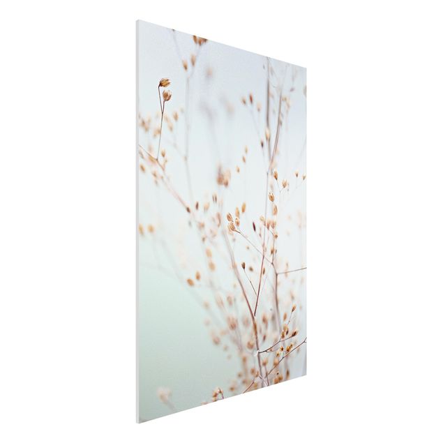 Bilder auf Hartschaumplatte Pastellknospen am Wildblumenzweig