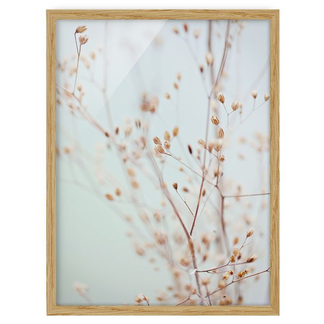 Bild mit Rahmen - Pastellknospen am Wildblumenzweig - Hochformat