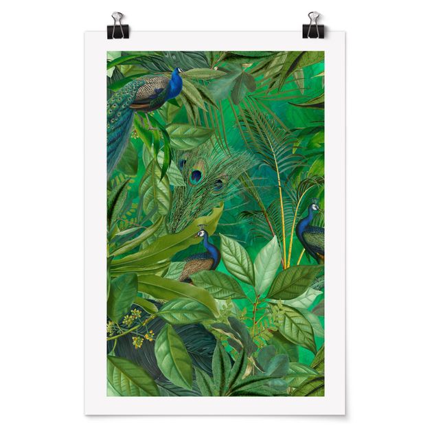 Poster Natur Pfauen im Dschungel