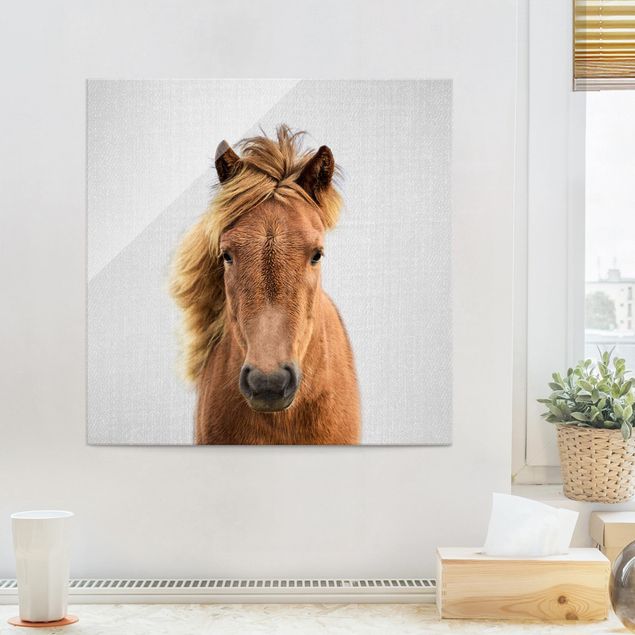 Wandbilder Tiere Pferd Pauline