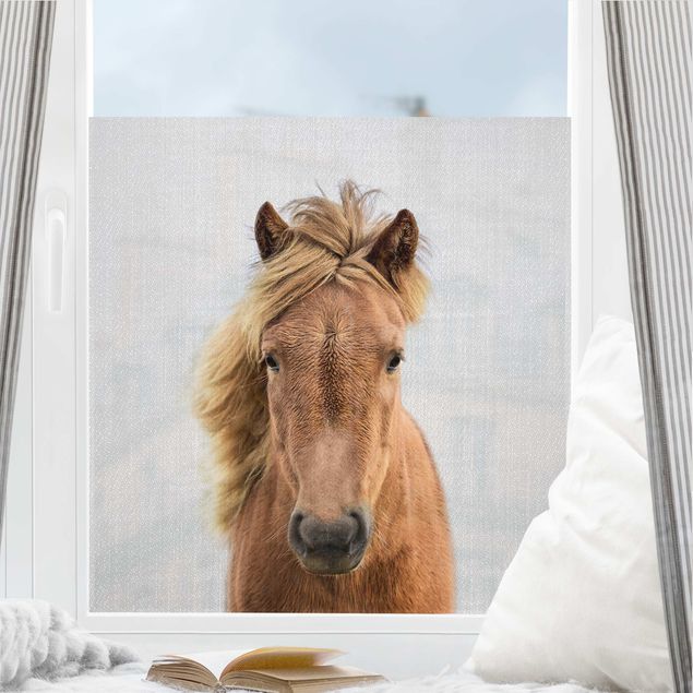 Fensterfolie Farbig Pferd Pauline