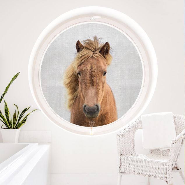 Fensterfolie Wohnzimmer Pferd Pauline