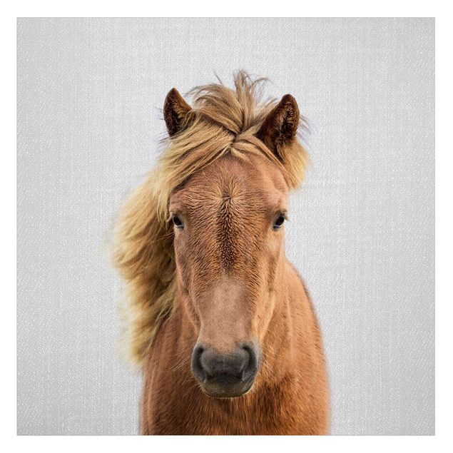 Selbstklebende Fensterbilder Pferd Pauline