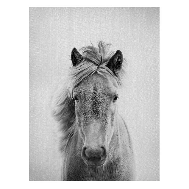 Wandbilder Tiere Pferd Pauline Schwarz Weiß