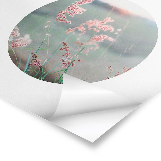 Poster - Pinke Blumen im Kreis - Quadrat 1:1