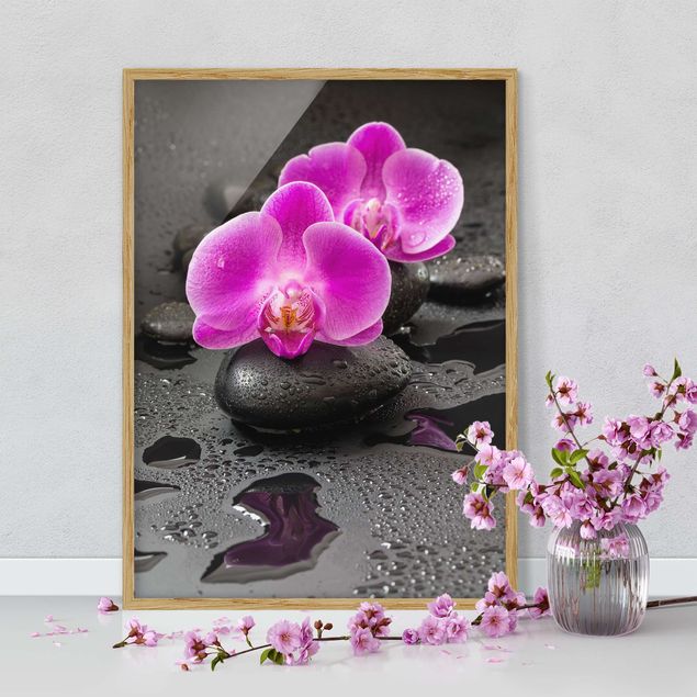 Schöne Wandbilder Pinke Orchideenblüten auf Steinen mit Tropfen