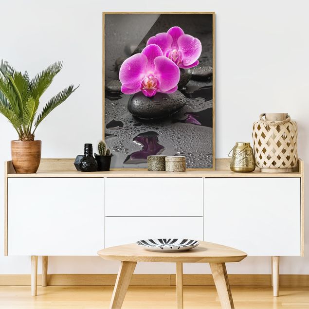 Gerahmte Bilder Pinke Orchideenblüten auf Steinen mit Tropfen