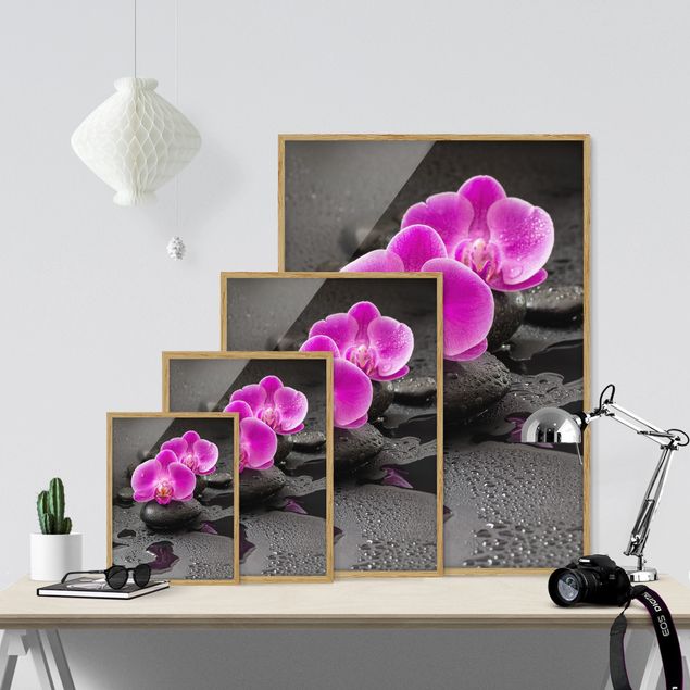 Bild mit Rahmen - Pinke Orchideenblüten auf Steinen mit Tropfen - Hochformat 3:4
