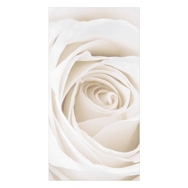 Duschrückwand - Pretty White Rose