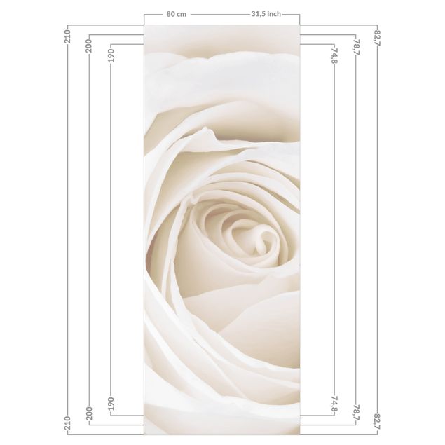 Duschrückwand - Pretty White Rose