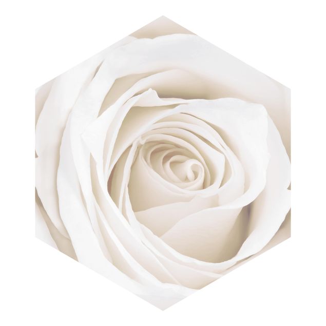 Tapete blau Pretty White Rose