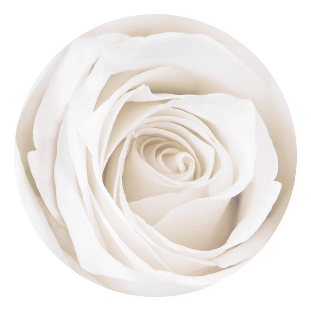 Tapete Landhaus Pretty White Rose
