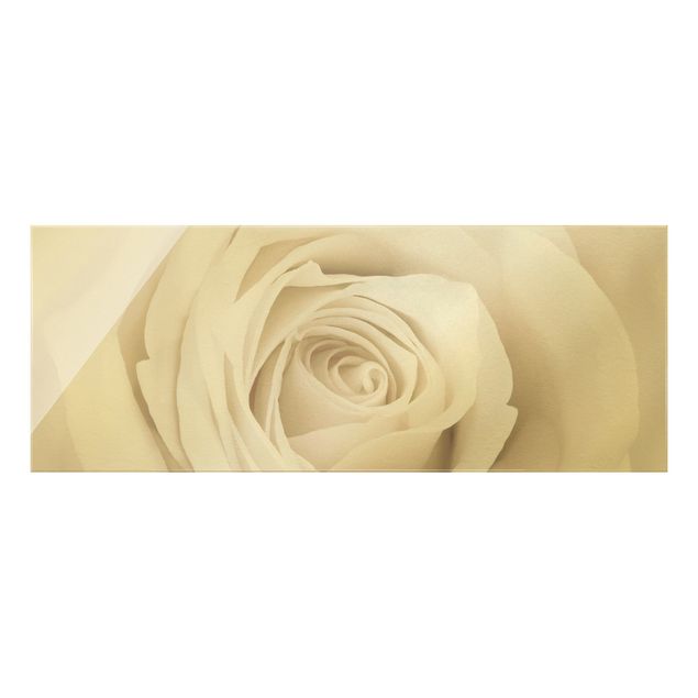 Schöne Wandbilder Pretty White Rose