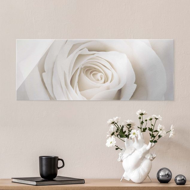 XXL Glasbilder Pretty White Rose