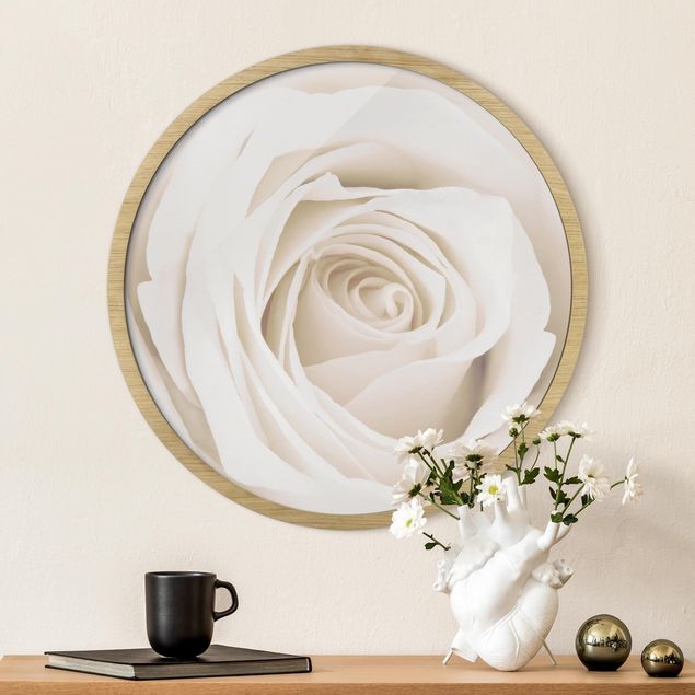 Wandbild rund Pretty White Rose