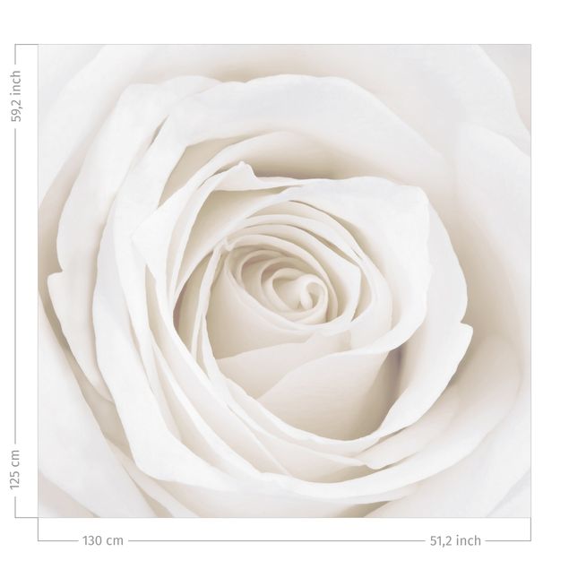 Vorhang Blumen Pretty White Rose