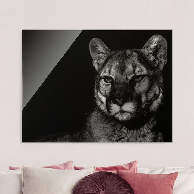 Wandbilder Tiere Puma vor Schwarz