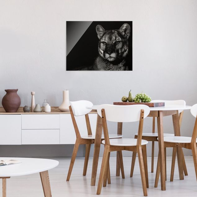 Schöne Wandbilder Puma vor Schwarz