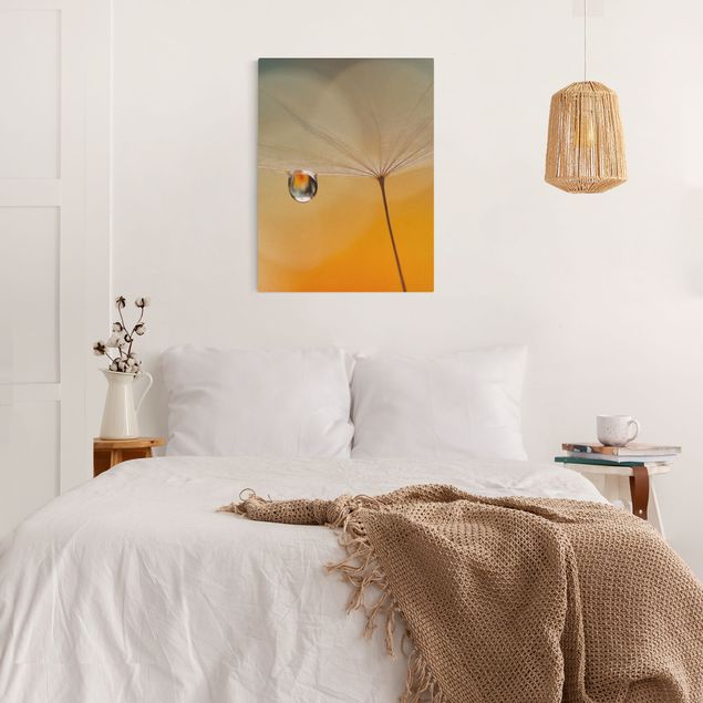 Wandbilder Wohnzimmer modern Pusteblume in Orange