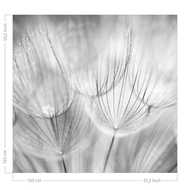 Vorhang Blumen Pusteblumen Makroaufnahme in Schwarz Weiß