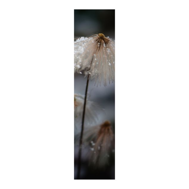 Schiebegardinen Schiene 3-läufig Pusteblumen mit Schneeflocken