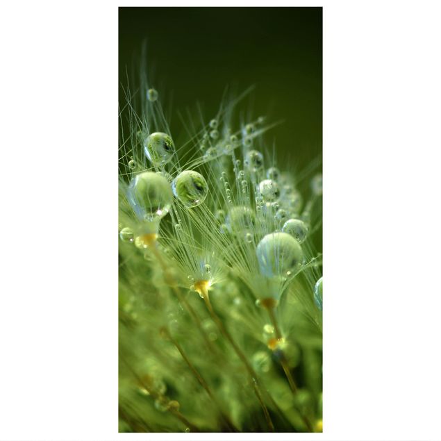 Raumteiler - Grüne Samen im Regen - 250x120cm