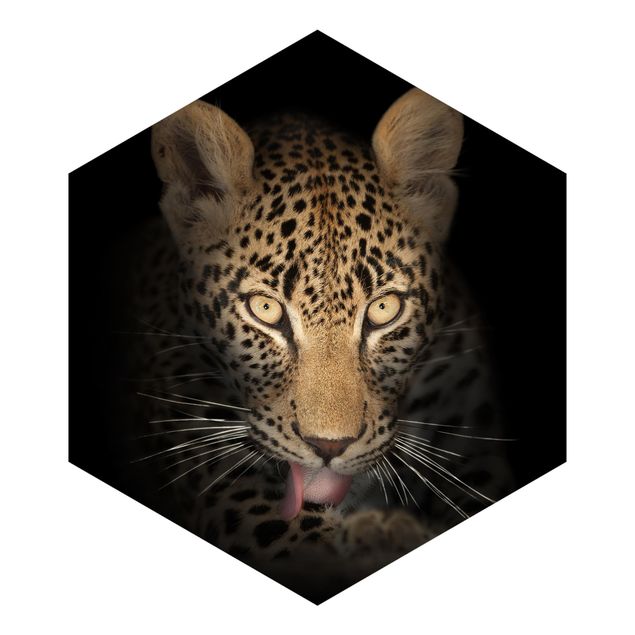 Wandtapete Design Resting Leopard