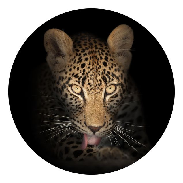 Fototapete modern Resting Leopard