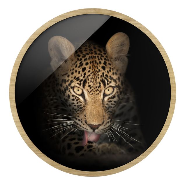Bilder mit Rahmen Resting Leopard