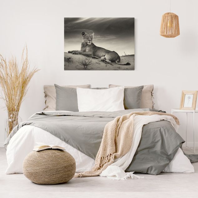 Wandbilder Tiere Resting Lion
