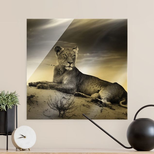 XXL Glasbilder Resting Lion