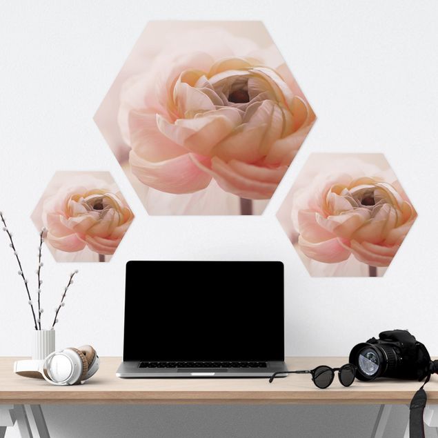 Hexagon Bild Forex - Rosa Blüte im Fokus