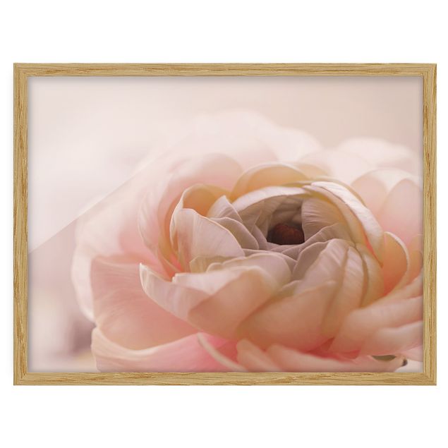 Bild mit Rahmen - Rosa Blüte im Fokus - Querformat