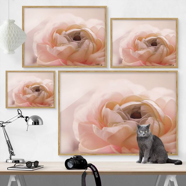 Bild mit Rahmen - Rosa Blüte im Fokus - Querformat