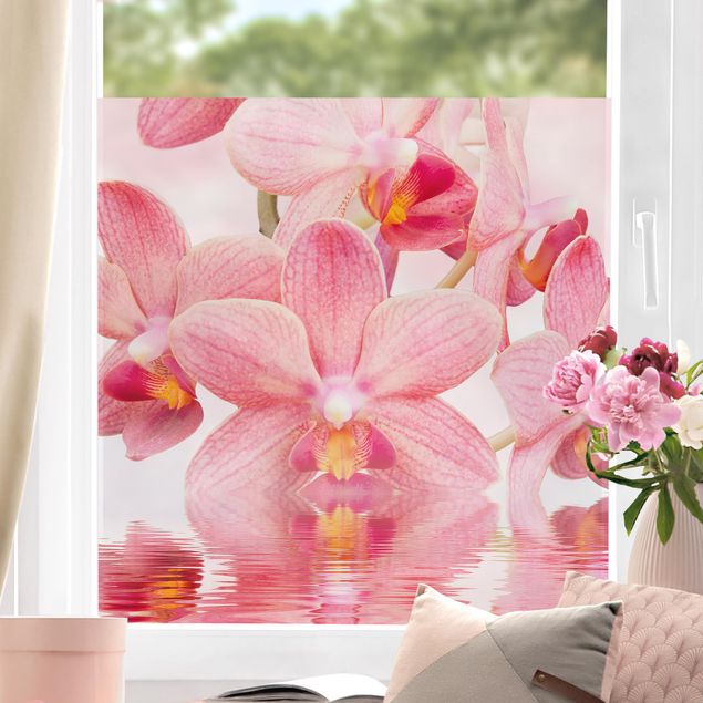 Fensterfolie Gräser Rosa Orchideen auf Wasser