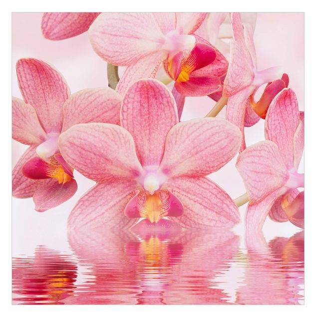 Fensterbilder selbstklebend Rosa Orchideen auf Wasser