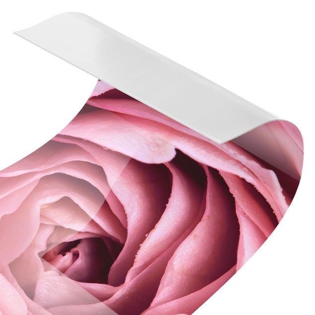 Duschrückwand - Rosa Rosenblüte