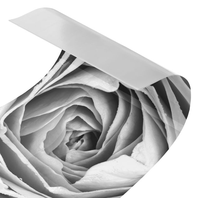 Duschrückwand - Rosa Rosenblüte Schwarz-Weiß