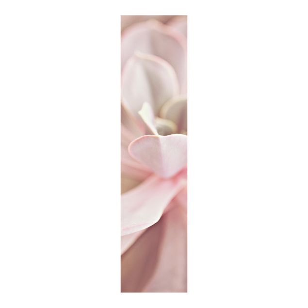 Schiebegardinen mit Motiv 3-teilig Rosane Sukkulentenblüte