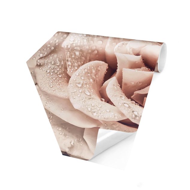 Fototapete Design Rosen Sepia mit Wassertropfen
