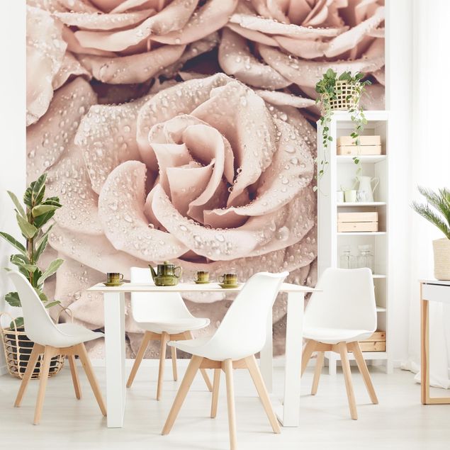 Moderne Tapeten Rosen Sepia mit Wassertropfen