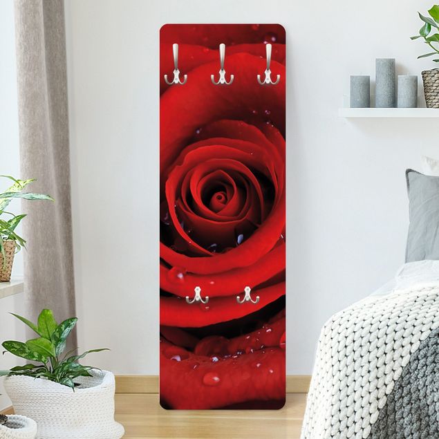 Garderobenpaneel Rote Rose mit Wassertropfen