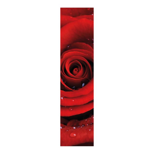 Schiebegardinen mit Motiv 3-teilig Rote Rose mit Wassertropfen