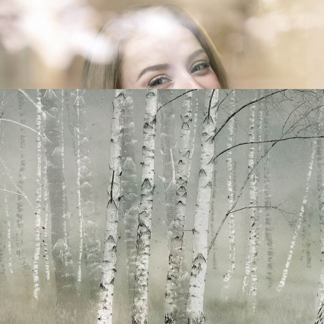 XXL Fensterbilder Ruhender Birkenwald