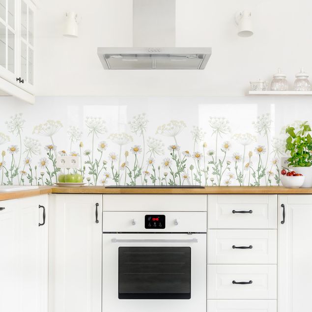 Glasrückwand Küche Blumen Schafgarbe und Gänseblümchen