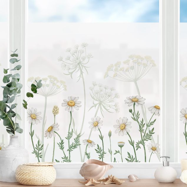 Blumen Fensterbilder Schafgarbe und Gänseblümchen